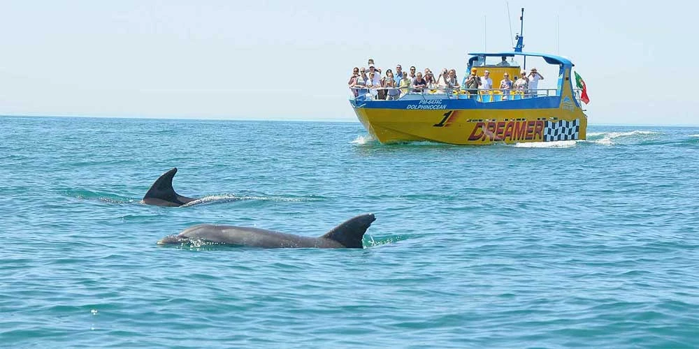 Dolphin and Cave Tours Albufeira - Algarge Apartment Rentals