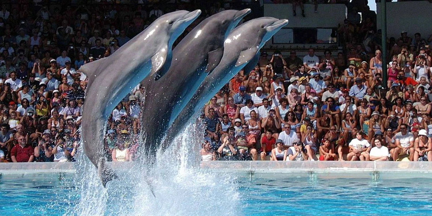 Zoomarine water park at Albufeira the Algarve Portugal